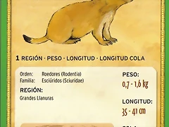 perrito de la pradera