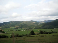 IMG_0462 IMG_0462
