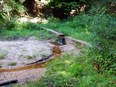 DSCN6323 DSCN6323