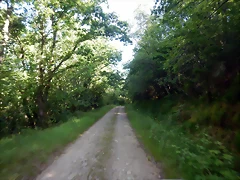 DSCN3201 DSCN3201