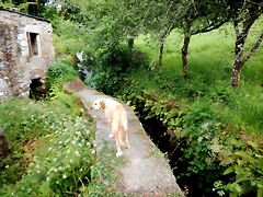 DSCN4536 DSCN4536