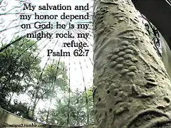 psalm 62.7