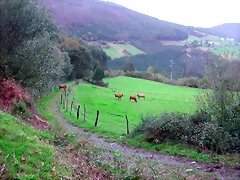 DSCN6324 DSCN6324