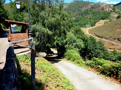 DSCN7772 DSCN7772