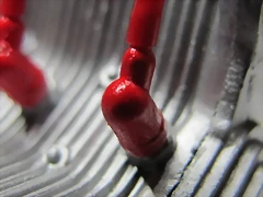 IMG_2501 IMG_2501