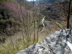 DSCN9194