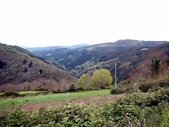 DSCN4320'6 DSCN4320'6