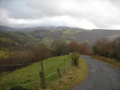 DSCN2811 DSCN2811