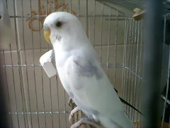 IMG00105-20100924-1549