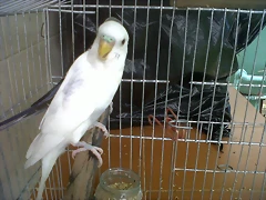 IMG00107-20100924-1550