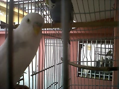 IMG00104-20100924-1548