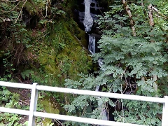 DSCN1395 DSCN1395