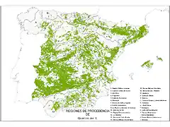 map_Quercus_ilex_tcm7-285941