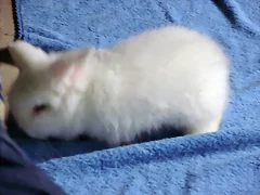 Con 2 mesecitos casi 3 :)