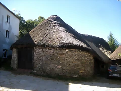 IMG_1121 IMG_1121