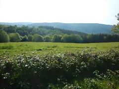 DSCN2078 DSCN2078