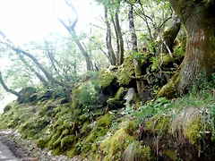 DSCN3384 DSCN3384