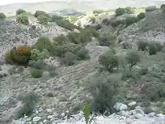 balneario de carabaña paisaje