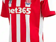 Stoke City 14-15 Home Kit (3)