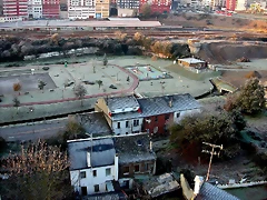 DSCN6709