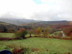 DSCN2690 DSCN2690