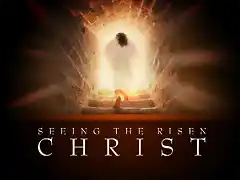 seeing-the-risen-christtnv