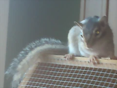 ardi cosita 3 - 10-12