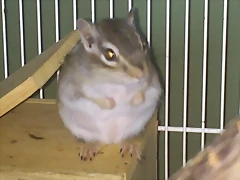 ardi cosita 3 -10-12