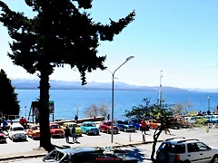 CAS_4101 CAS_4101