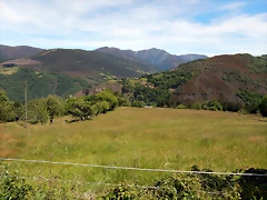 DSCN1169 DSCN1169