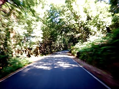 DSCN6718 DSCN6718