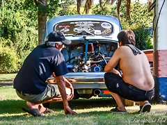 DSC_0049 DSC_0049