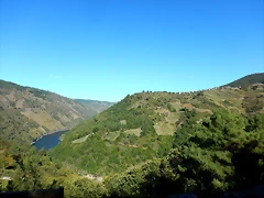 DSCN1428 DSCN1428
