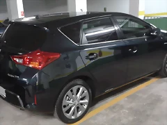 Auris 1