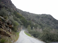 DSCN3653 DSCN3653