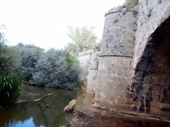 DSCN8063 DSCN8063