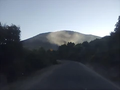 25022012994 25022012994