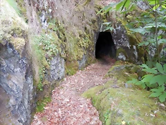 DSCN1368 DSCN1368