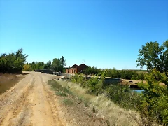 DSCN8101 DSCN8101