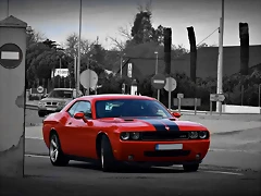 DSC_0746 DSC_0746