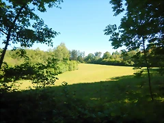 DSCN2345 DSCN2345