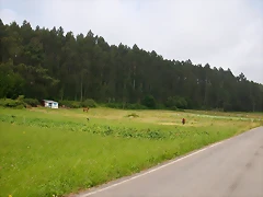 DSCN1422 DSCN1422