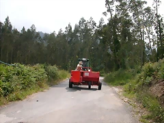 DSCN1427 DSCN1427