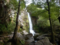 DSCN0490