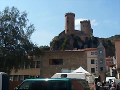 SAM_3461
