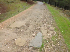 P1030027 P1030027