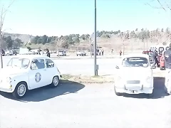 P1030181 P1030181