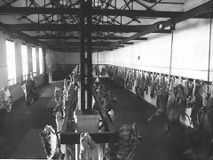 Matadero central