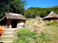 DSCN8385 DSCN8385