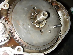 DSCN7769 DSCN7769
